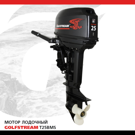 Мотор лодочный GOLFSTREAM T25BMS в интернет Магазине Аллигатор Красноярск