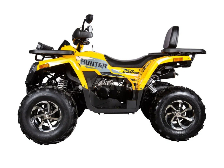 Квадроцикл AVANTIS H250 BIG NEW Premium (баланс. вал) в интернет Магазине Аллигатор Красноярск